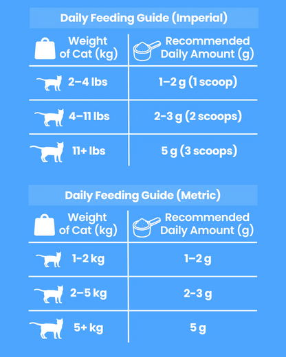 Yeyko Taurine Powder